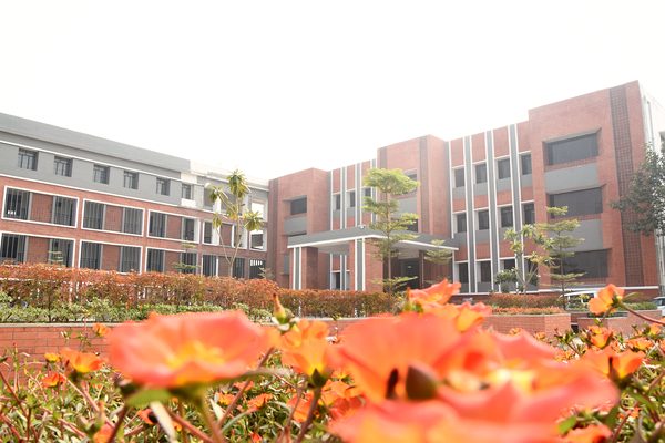 A campus alive with green.